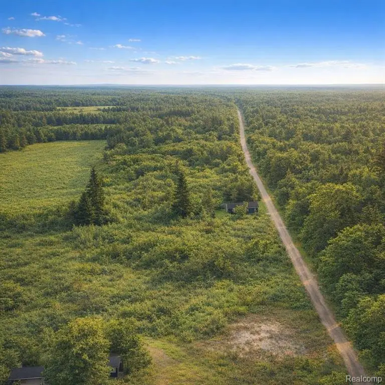 0 Gray, Lapeer, MI 48446 - #3