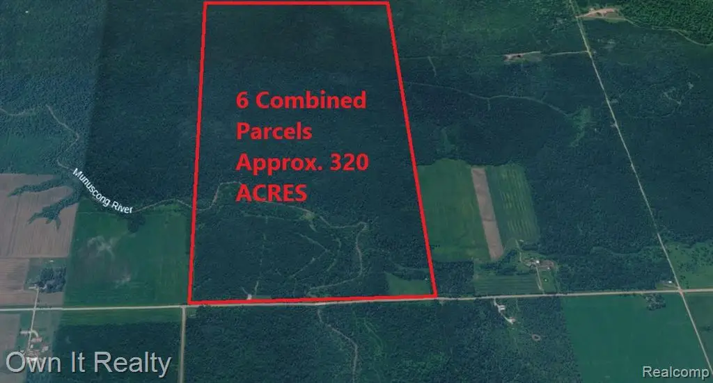 0000 E Townline Road, Pickford, MI 49774 - #1