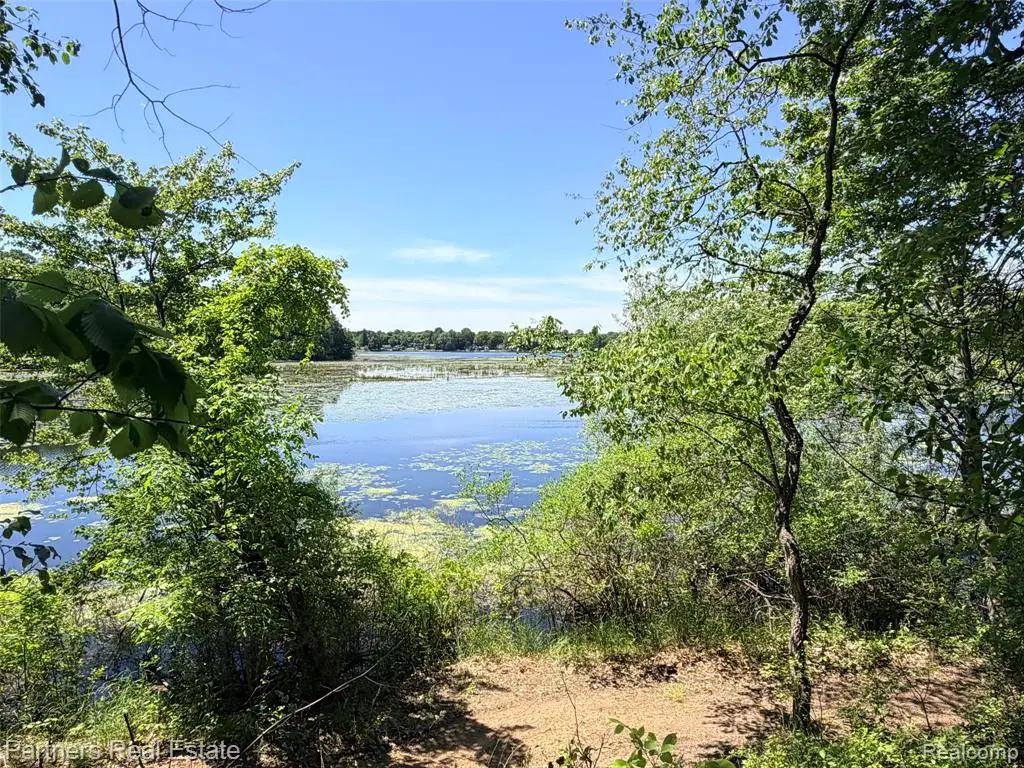 Vacant Mckeachie, White Lake, MI  - #1