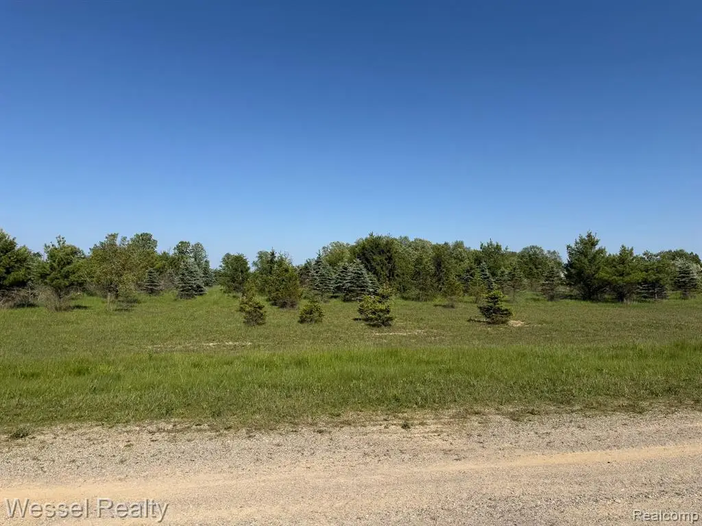 00 Windmill, Imlay City, MI 48444 - #1