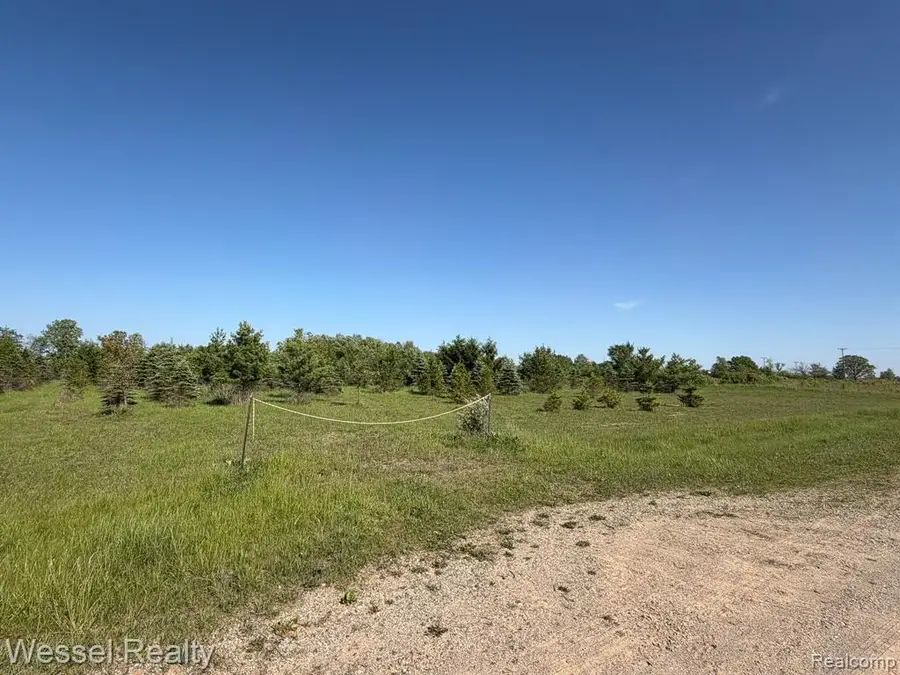 00 Windmill, Imlay City, MI 48444 - #3