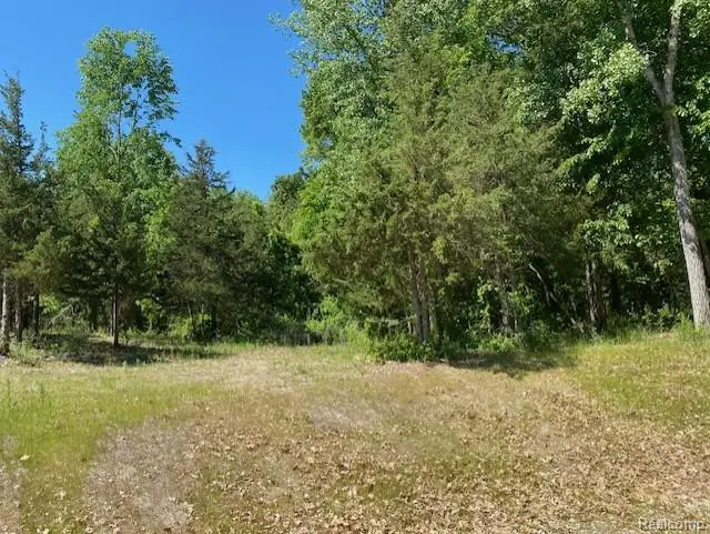 lot 5 Dollar Ridge, South Lyon, MI 48178 - #1