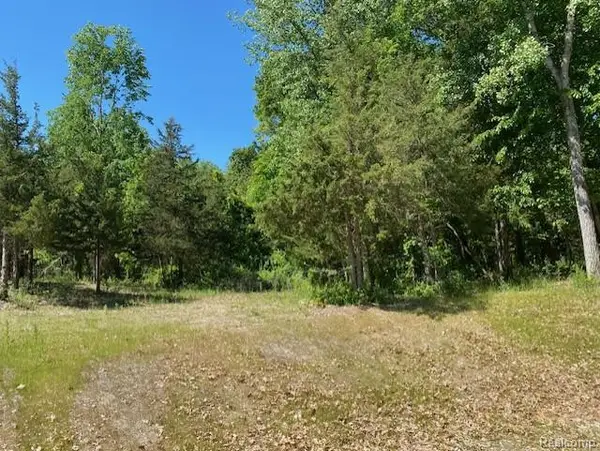 lot 5 Dollar Ridge, South Lyon, MI 48178