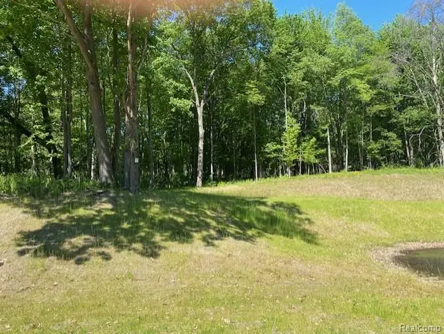lot 5 Dollar Ridge, South Lyon, MI 48178 - #2