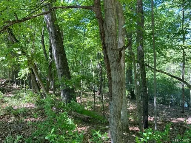 lot 5 Dollar Ridge, South Lyon, MI 48178 - #3