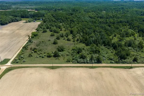 Parcel A Freiburger Rd, Snover, MI 48472