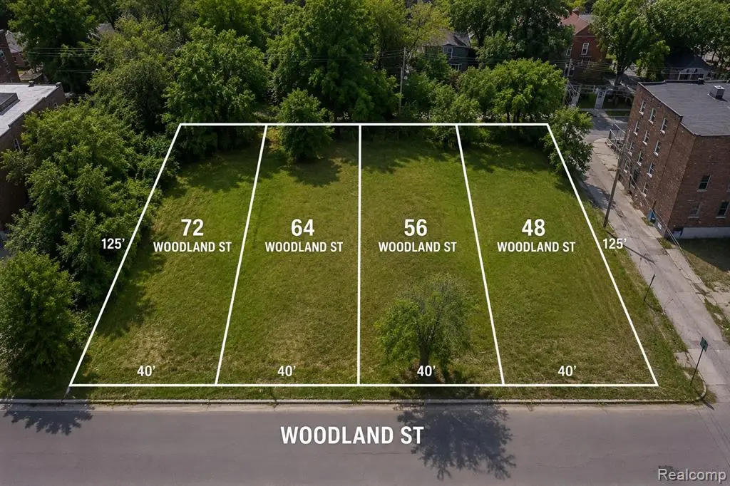 48 Woodland St, Detroit, MI 48202 - #1
