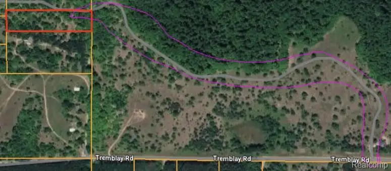 V/L Tremblay, Mancelona, MI 49659 - #3