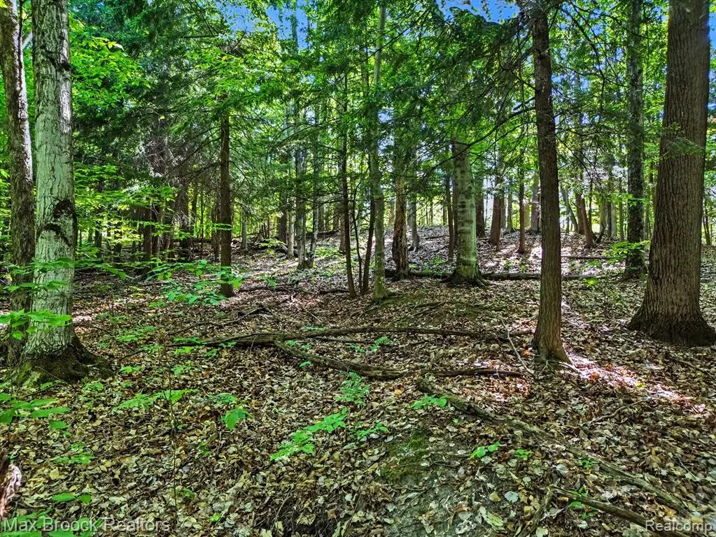 125 Legend Trail, Bellaire, MI 49615 - #1