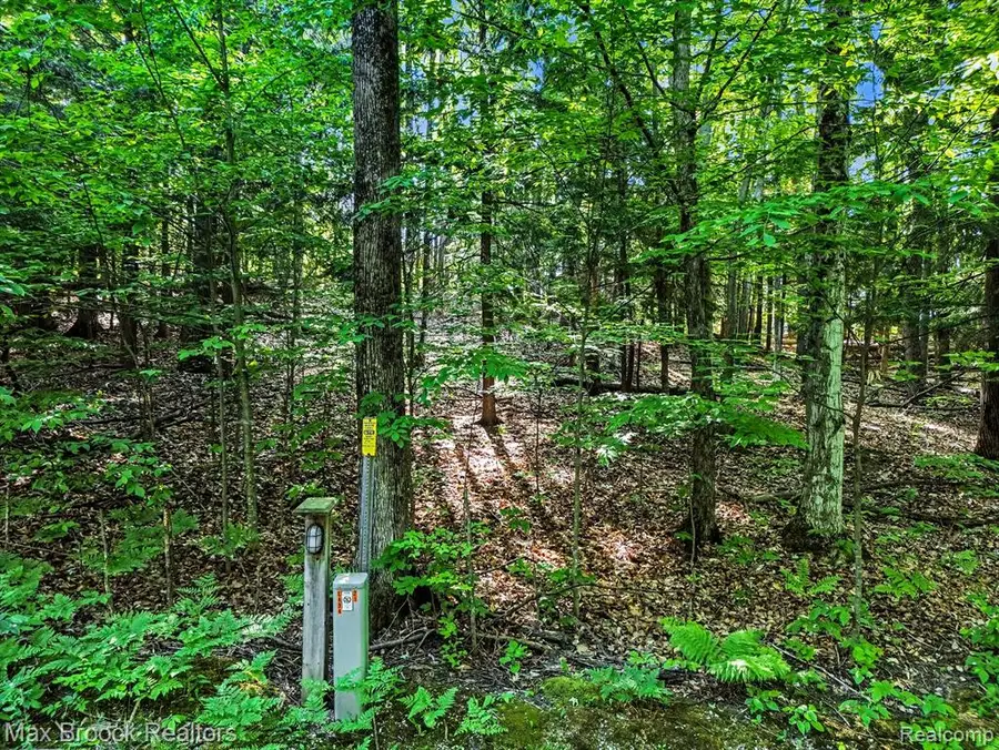 125 Legend Trail, Bellaire, MI 49615 - #2