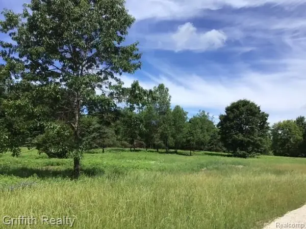 Parcel 1 E Coon Lake, Howell, MI 48843