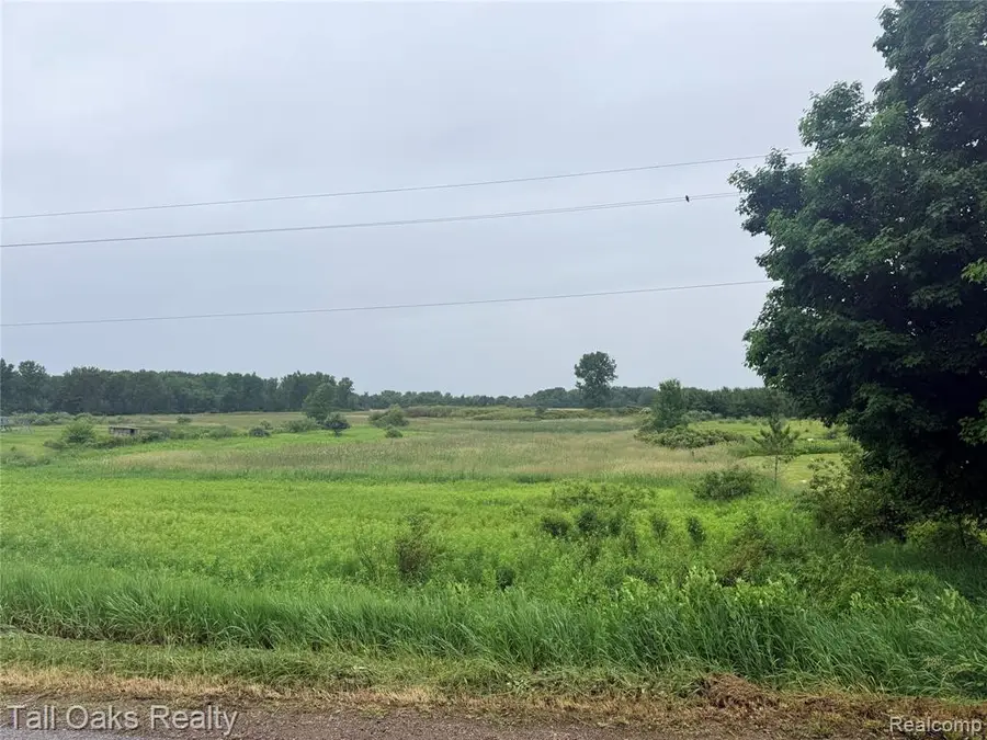 761 Millington, Mayville, MI 48744 - #3