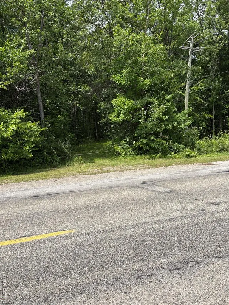 5296 County Line Road, Lenox, MI 48050 - #1