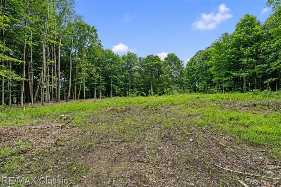 7888 N Territorial, Dexter, MI 48130 - #3