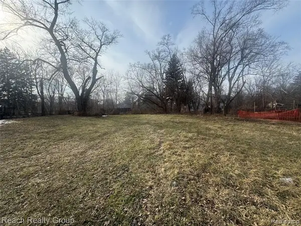 14199 Burt, Detroit, MI 48223