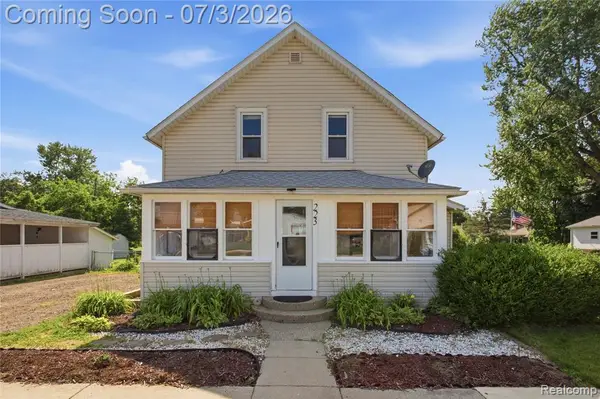 223 N Main, Webberville, MI 48892