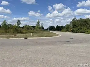Vacant Land Grand River Avenue, Fowlerville, MI 48836 - #1