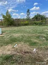 Vacant Land Grand River Avenue, Fowlerville, MI 48836 - #2