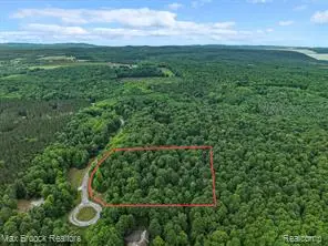 0000 Mackinaw, Empire, MI 49630 - #3