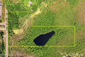 000 Dorr, Brighton, MI 48114 - #3