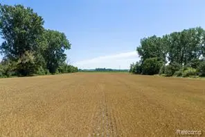Parcel A Dodge Rd, Cass City, MI 48726
