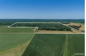000 Dodge Rd, Cass City, MI 48726