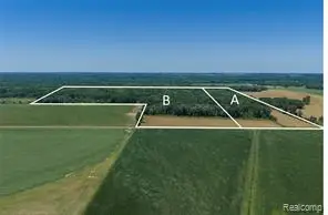 Parcel B Dodge Rd, Cass City, MI 48726 - #2