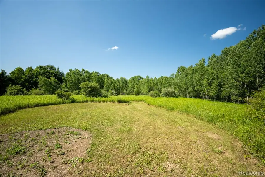 00 Hagerman, Leonard, MI 48367 - #3