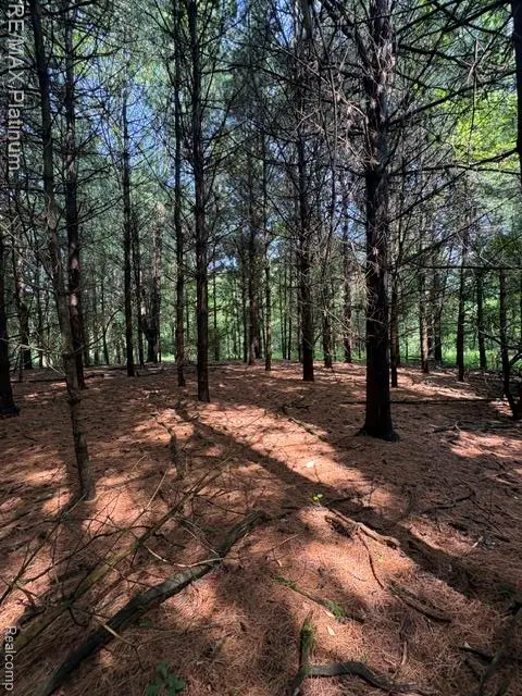 Parcel 5 Dauner, Fenton, MI  - #3