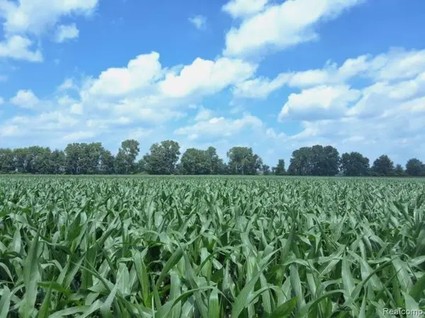 AUCTION Lot #3 Dryden, Capac, MI 