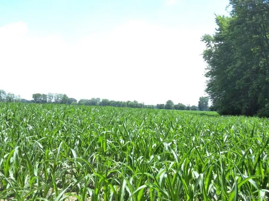 AUCTION Lot# 5 Capac, Mussey, MI  - #2