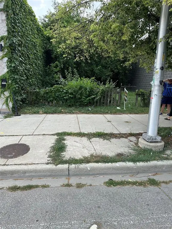 3423 Cass, Detroit, MI 48201 - #2