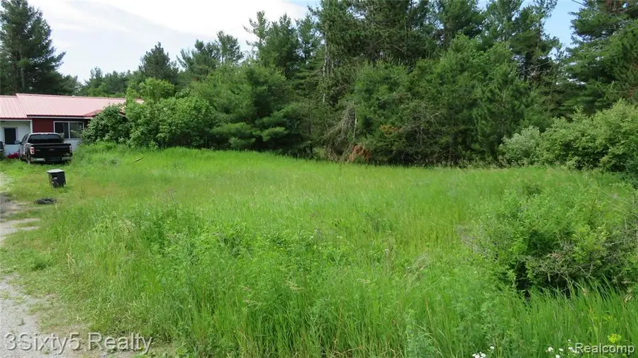 20661 Hackett Lake, Onaway, MI 49765 - #3