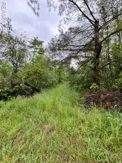22575 12 Mile, Battle Creek, MI 49014 - #2