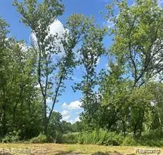 15451 Lakeview Park, Fenton, MI 48423