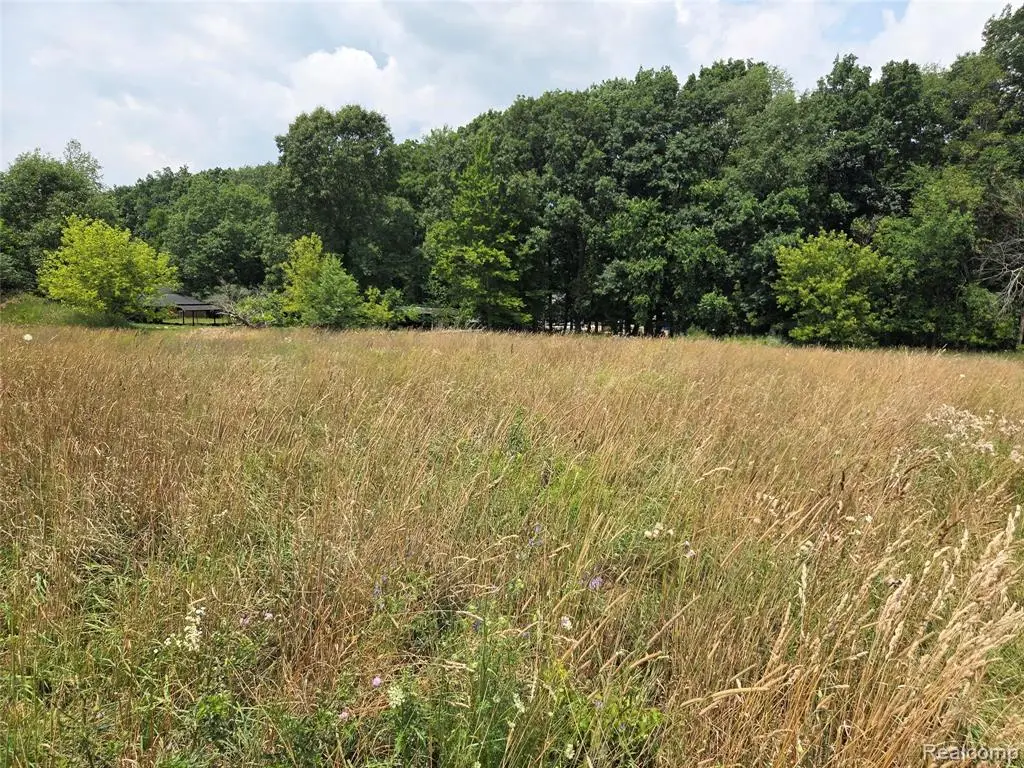 5800 parcel 2-C Mack, Howell, MI 48843 - #1
