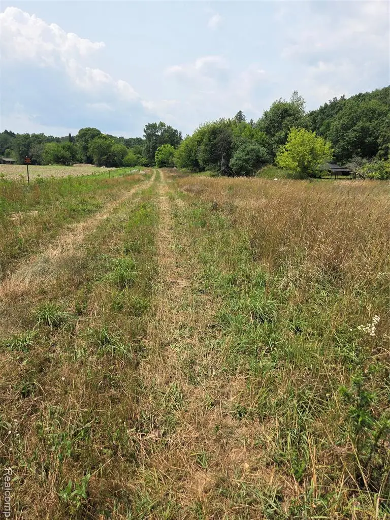 5800 parcel 2-C Mack, Howell, MI 48843 - #2