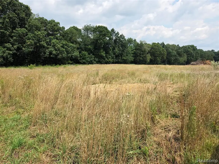5800 parcel 2-C Mack, Howell, MI 48843 - #3