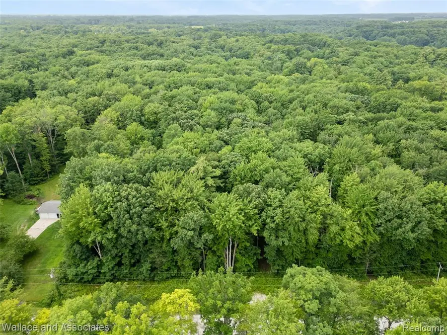 V/L Rabidue, North Street, MI 48049 - #2