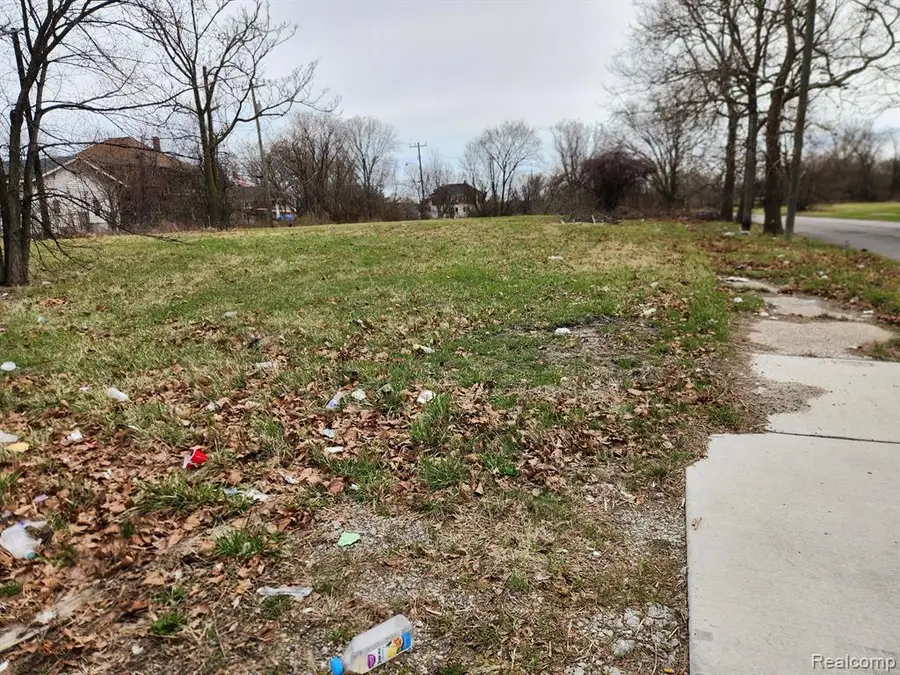 952 Kitchener, Detroit, MI 48215 - #3