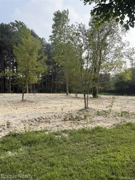 00 Hemlock Dr, Lakeport, MI 48059 - #2