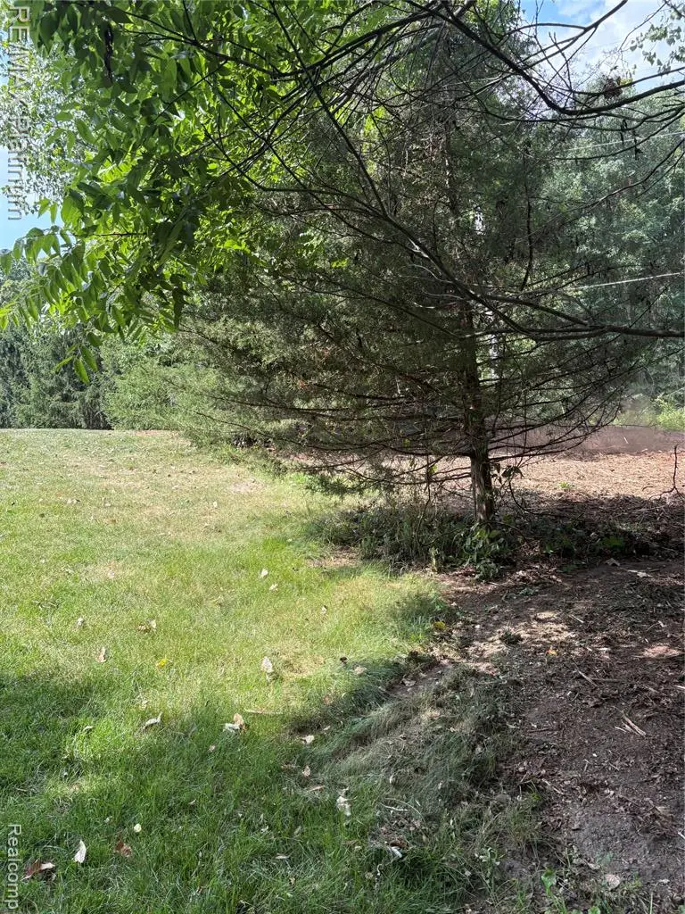 16133 Meredith, Linden, MI 48451 - #2