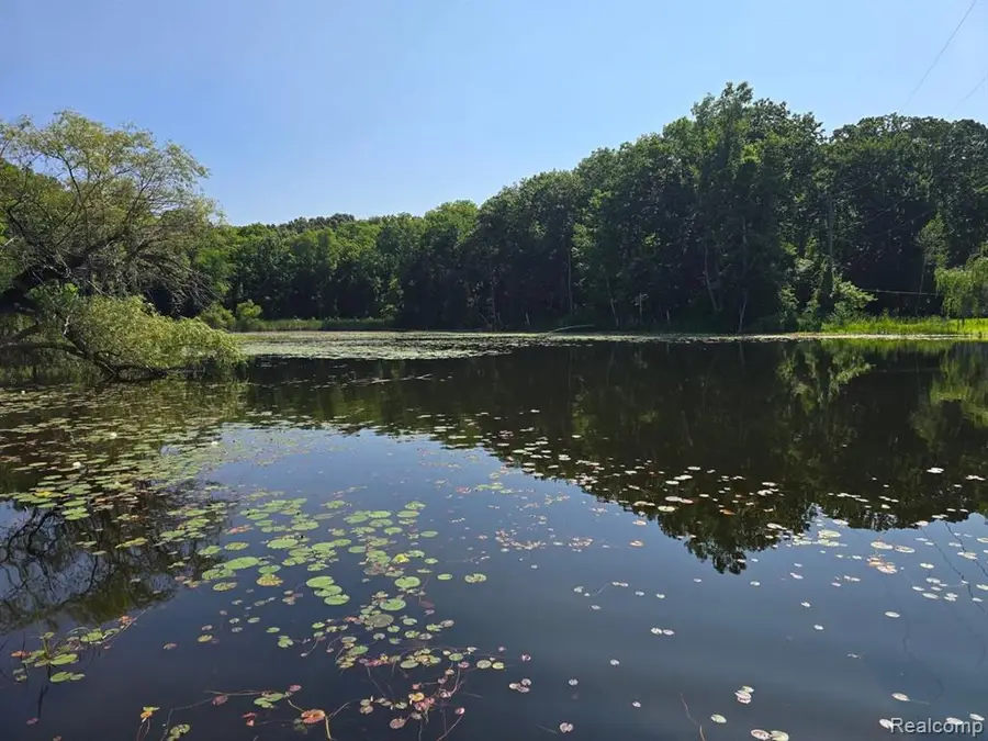 5751 Island, Goodrich, MI 48438 - #3