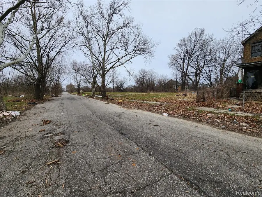 12905 Brooks, Detroit, MI 48215 - #2