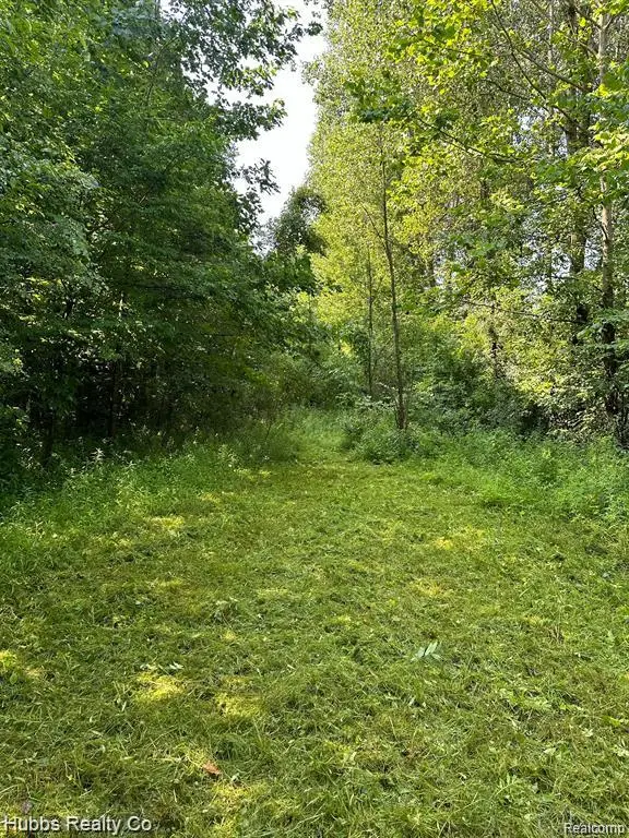 9265 Birch Run Rd., Millington, MI 48746 - #2