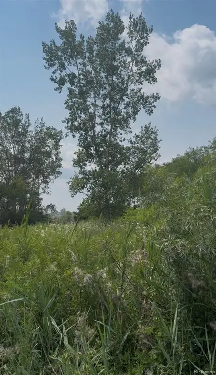 0 S Pennsylvania, Romulus, MI 48174 - #2