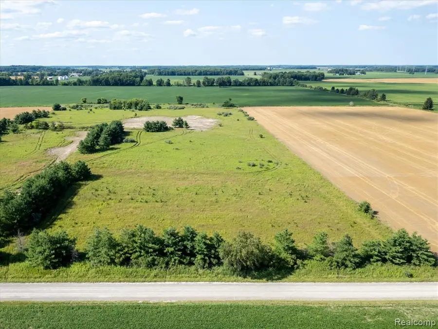 Vacant Land 2 Wellman Line, Yale, MI 48097 - #2