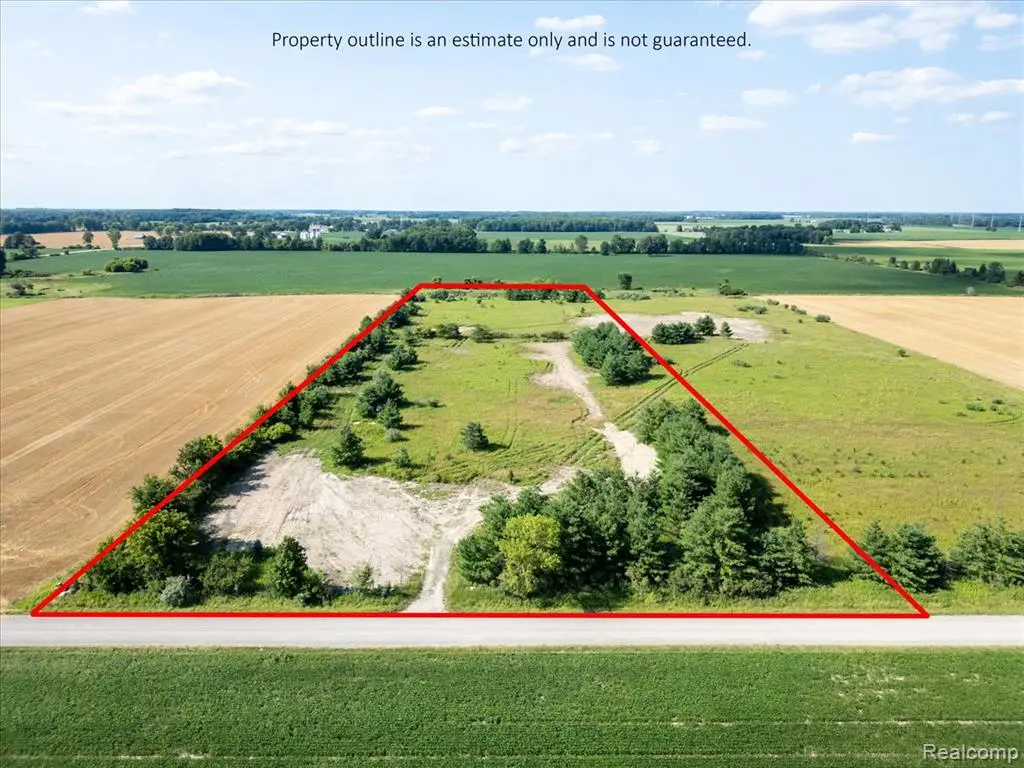 Vacant Land Wellman Line, Yale, MI 48097 - #1