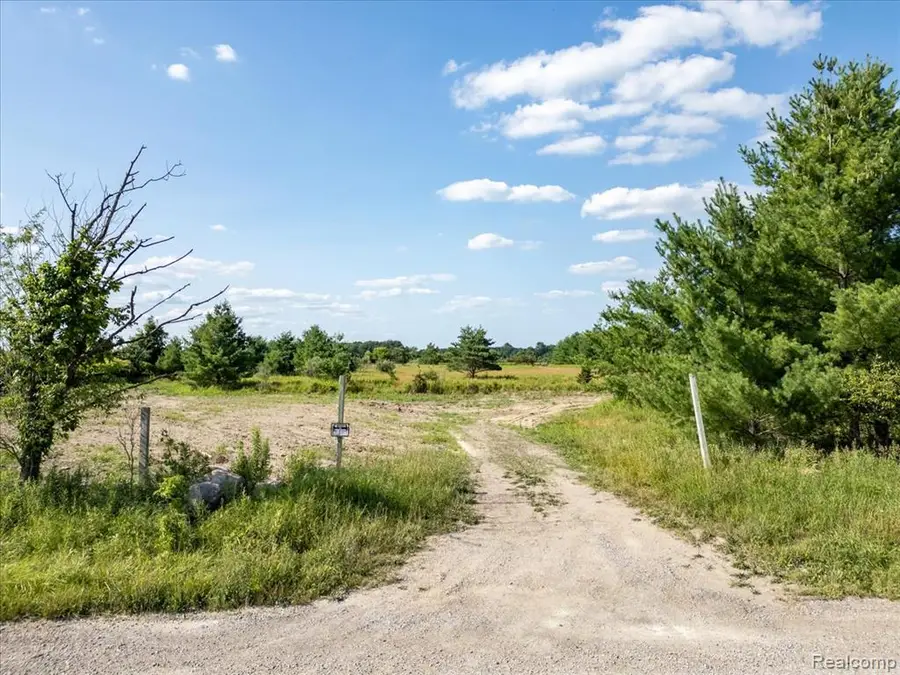 Vacant Land Wellman Line, Yale, MI 48097 - #3