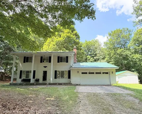 240 Townhall, Melvin, MI 48454